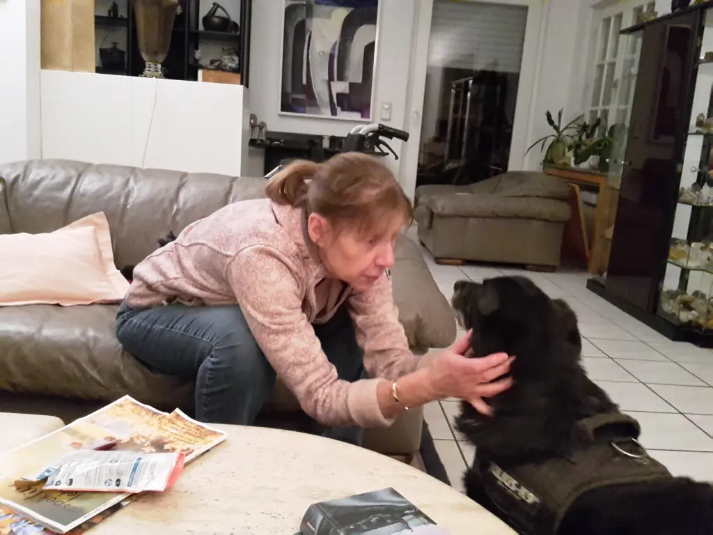 Image from Boldi (Boldog)