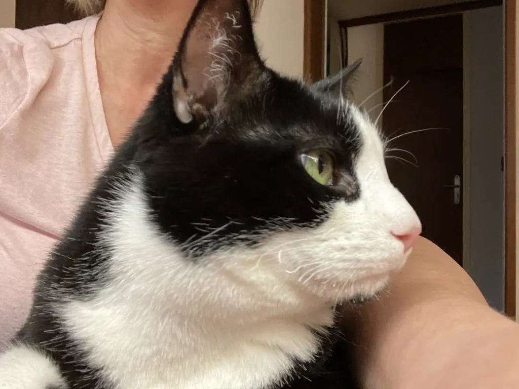 Image from Minki