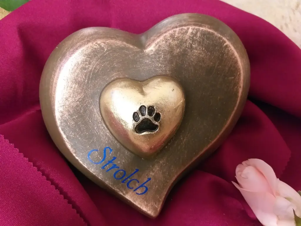 Image from Strolch