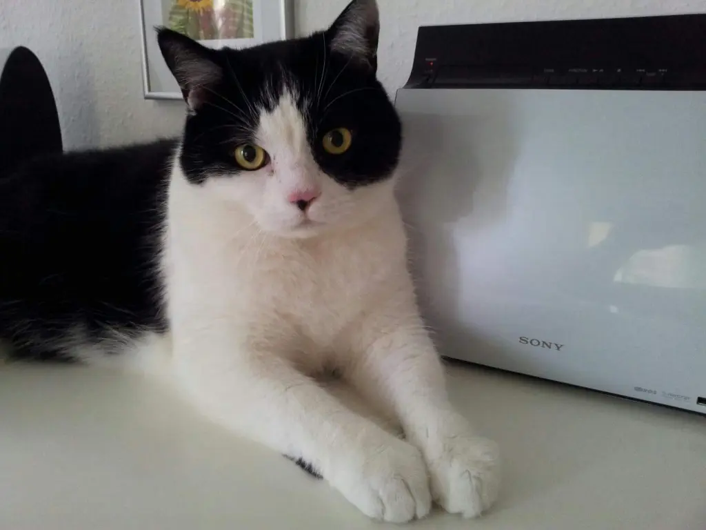 Condolence image of Roberto