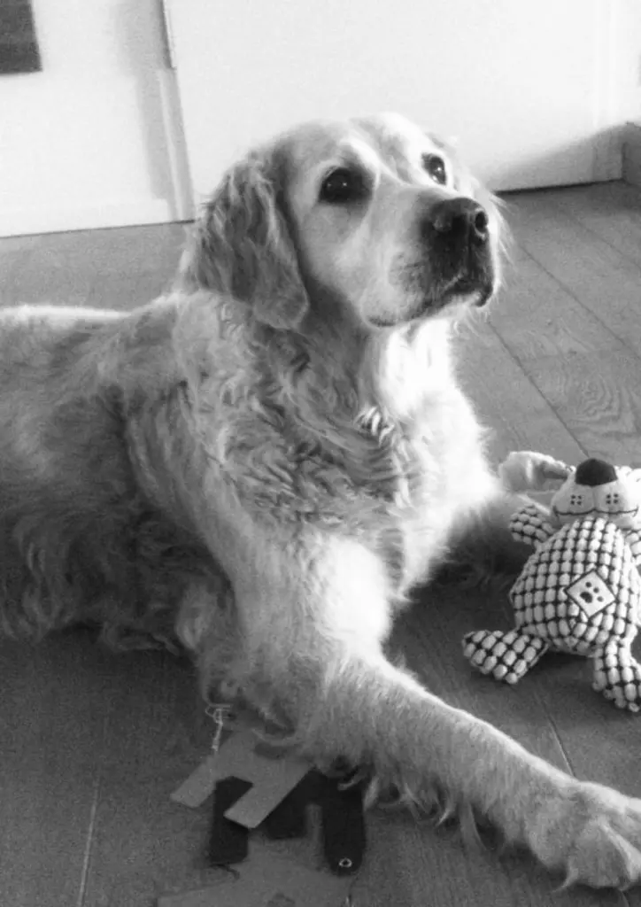 Condolence image of Sylvie