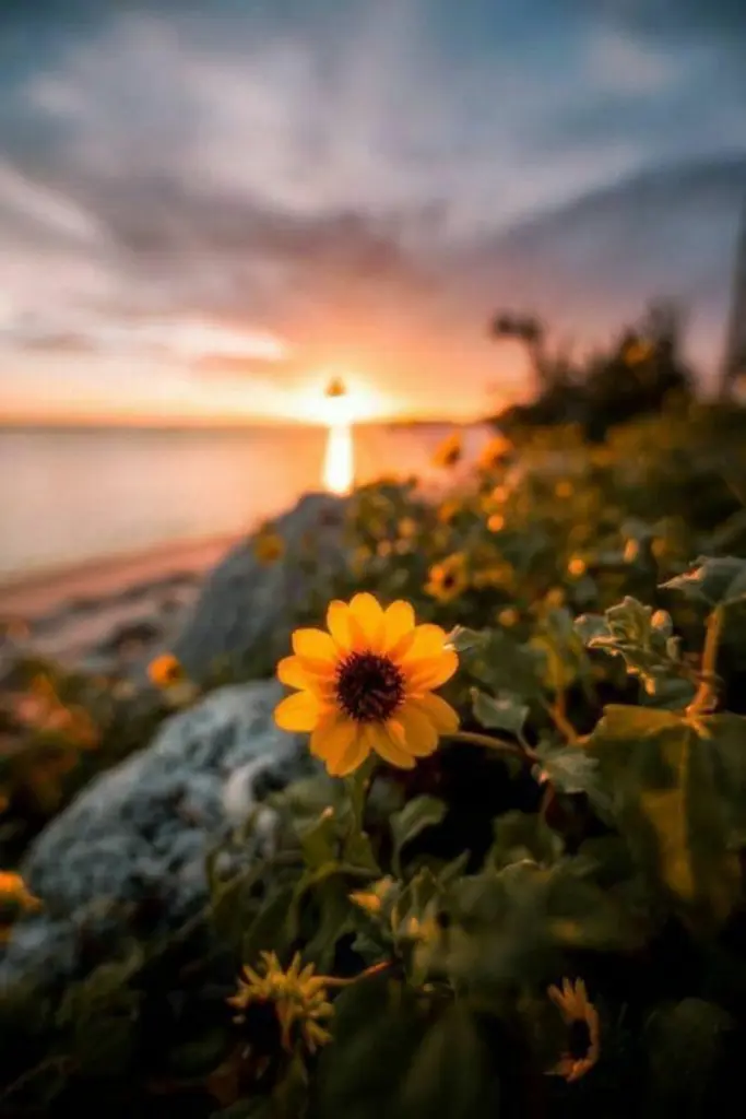 Andachtsbild von ❤