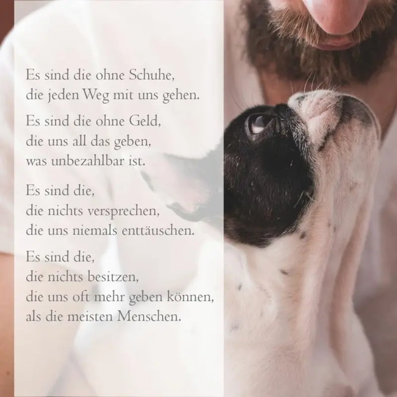 Andachtsbild von Andrea mit Minki im ❤ gest.19.10.2020