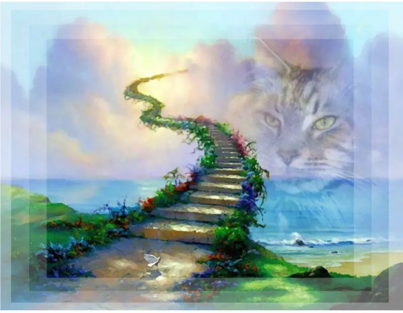 Condolence image of Katrin und Katzi im ❤️