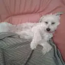 Image from Buffy