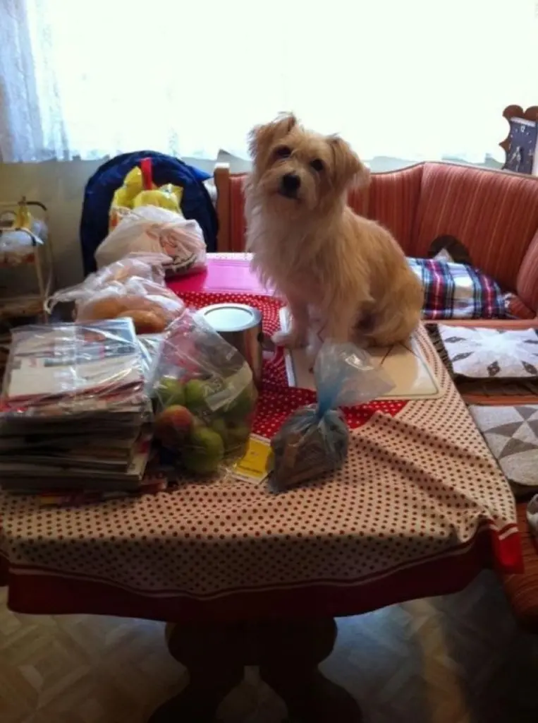 Andachtsbild von Mircea und Yanca