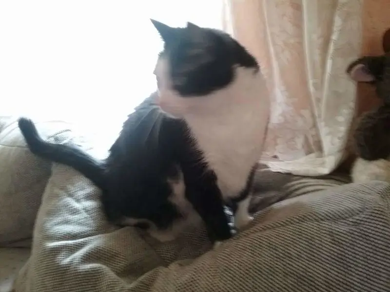 Andachtsbild von Bärbel und Reiner Klammes