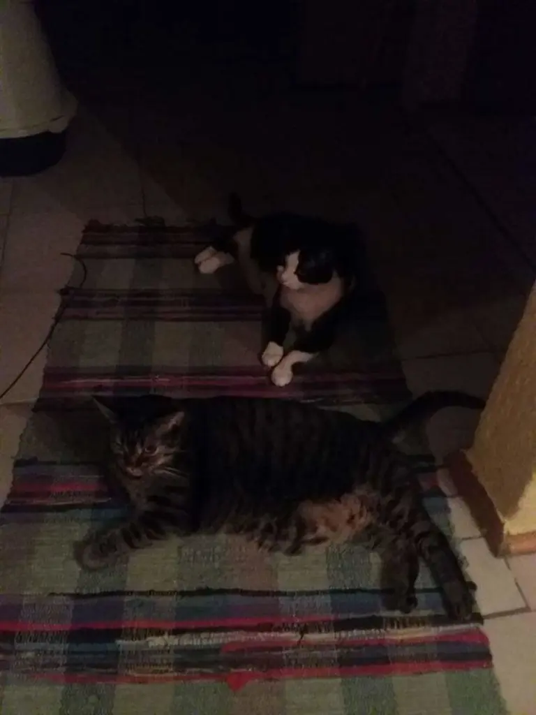 Andachtsbild von Bärbel und Reiner Klammes