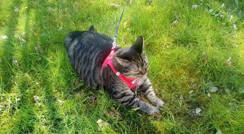 Andachtsbild von Bärbel und Reiner Klammes