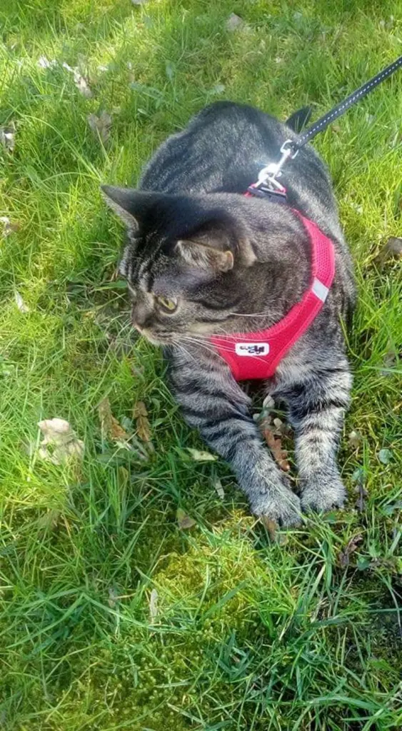 Andachtsbild von Bärbel und Reiner Klammes