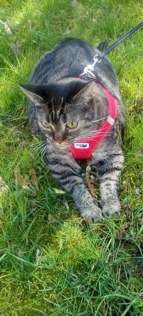 Andachtsbild von Bärbel und Reiner Klammes