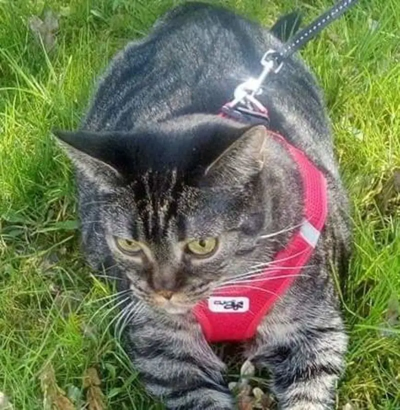 Andachtsbild von Bärbel