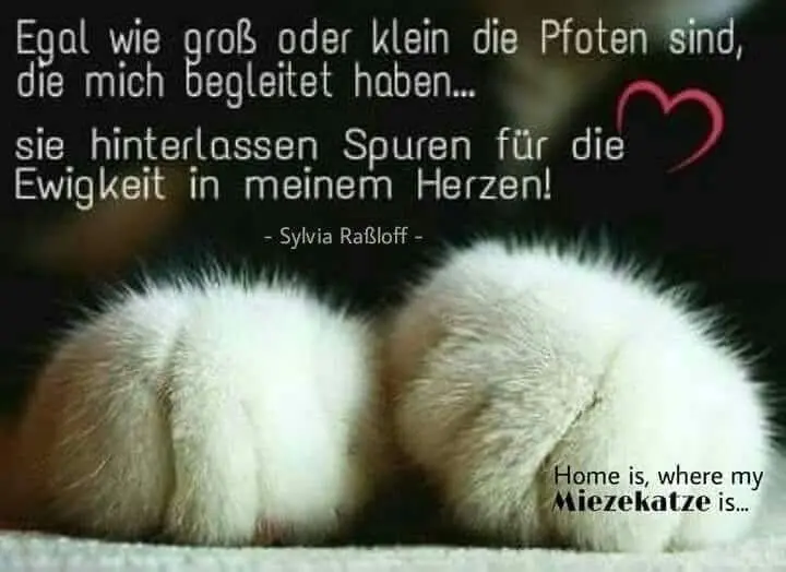 Andachtsbild von Christine