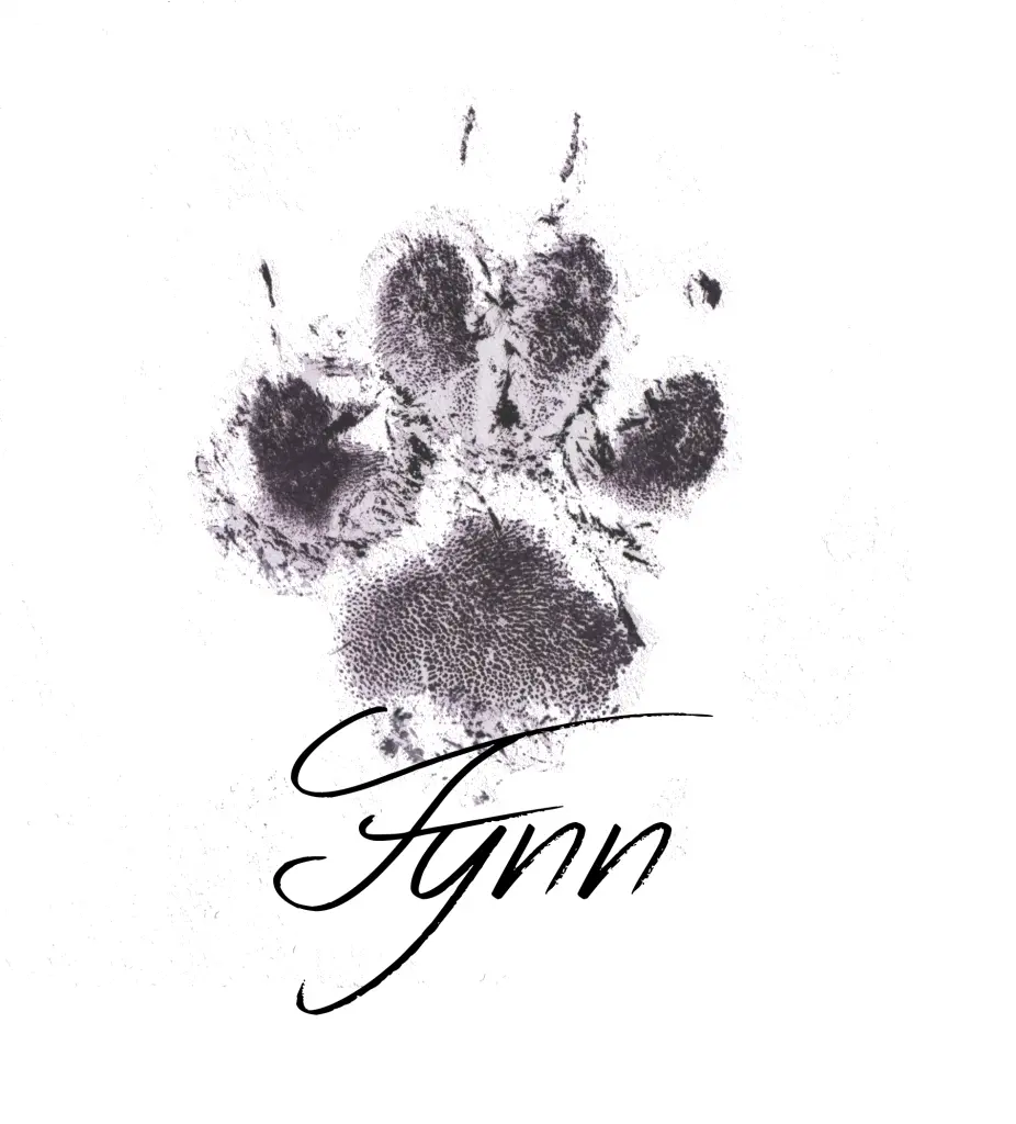 Image from Fynn
