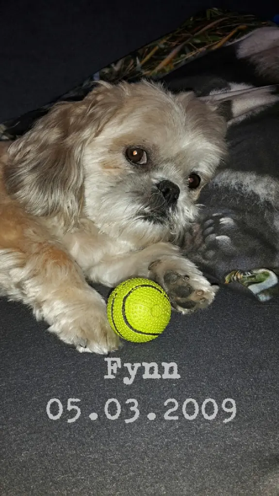 Image from Fynn