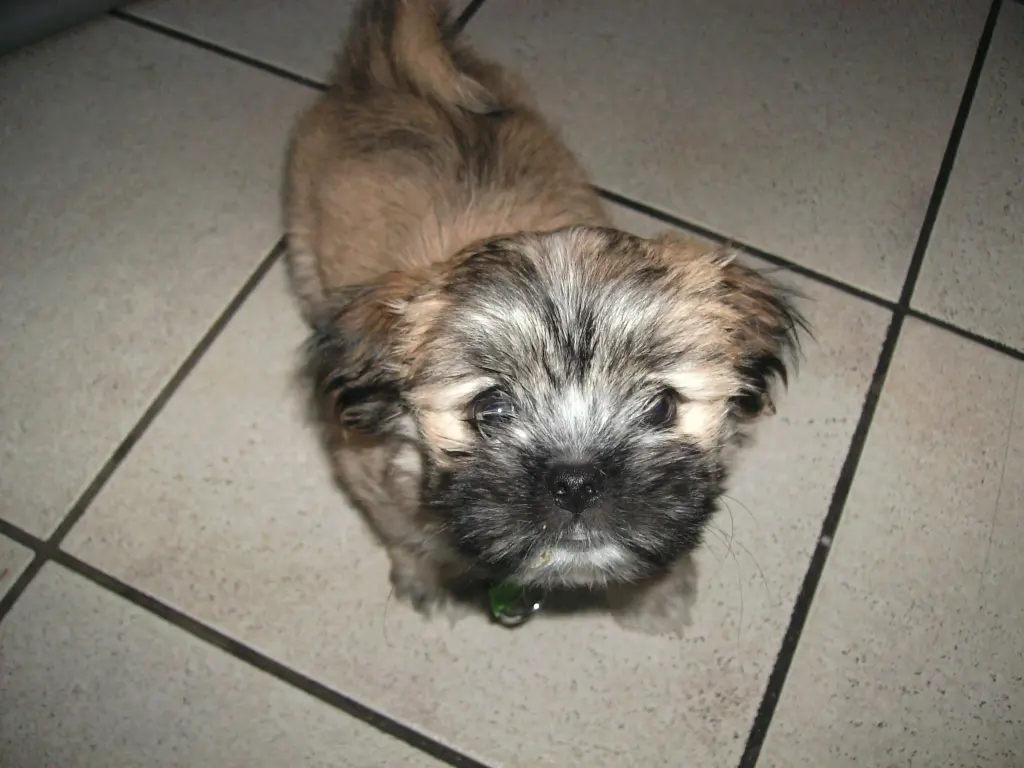 Image from Fynn