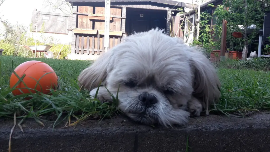 Image from Fynn