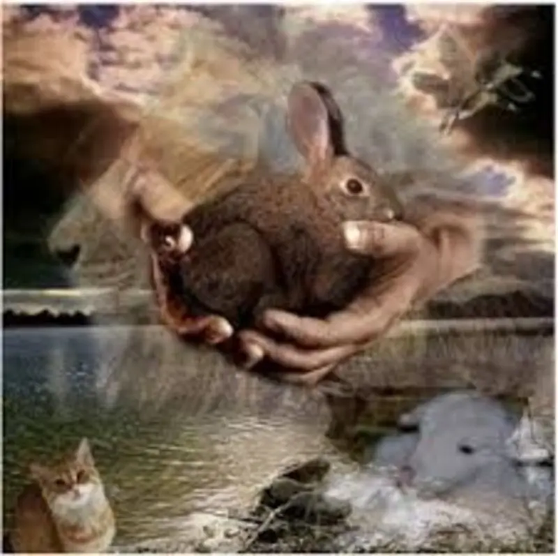 Condolence image of Katrin und Katzi im ❤️
