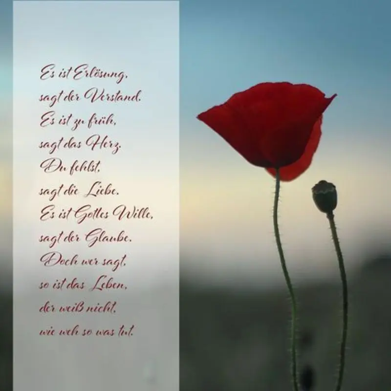 Condolence image of Andrea
