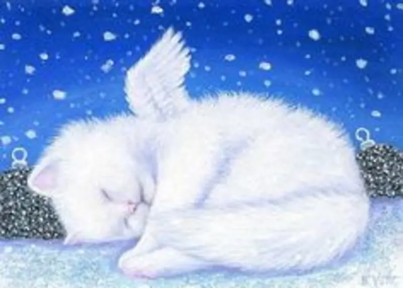 Condolence image of Katrin und Katzi im ❤️
