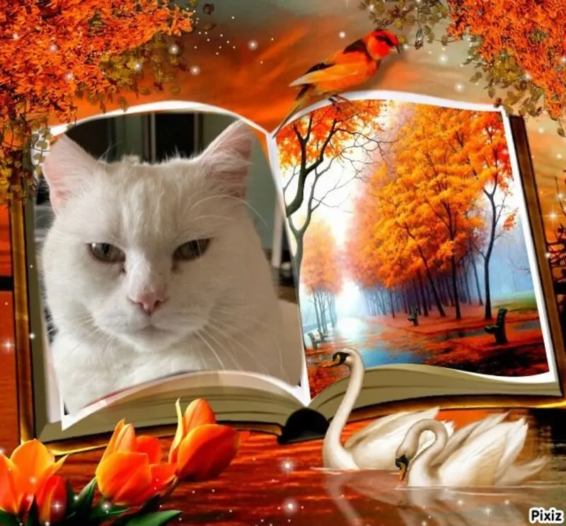Condolence image of Andrea mit Minki im ❤