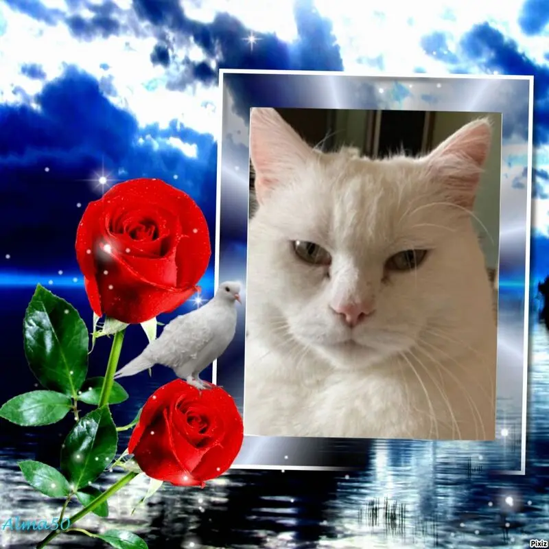 Condolence image of Andrea mit Minki im ❤