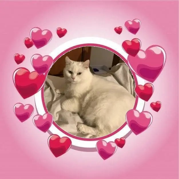 Condolence image of Andrea mit Minki im ♥️