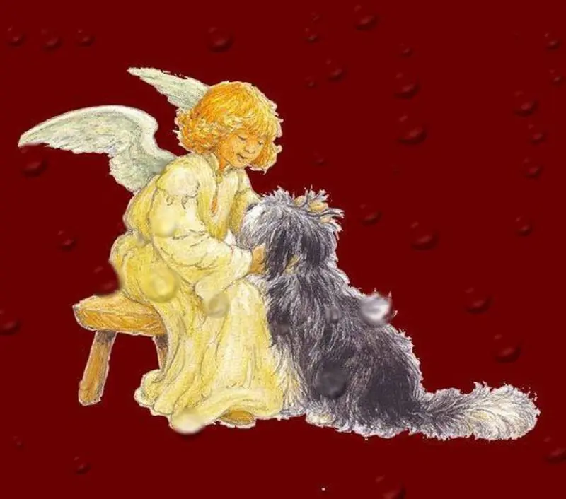 Condolence image of Ulrike