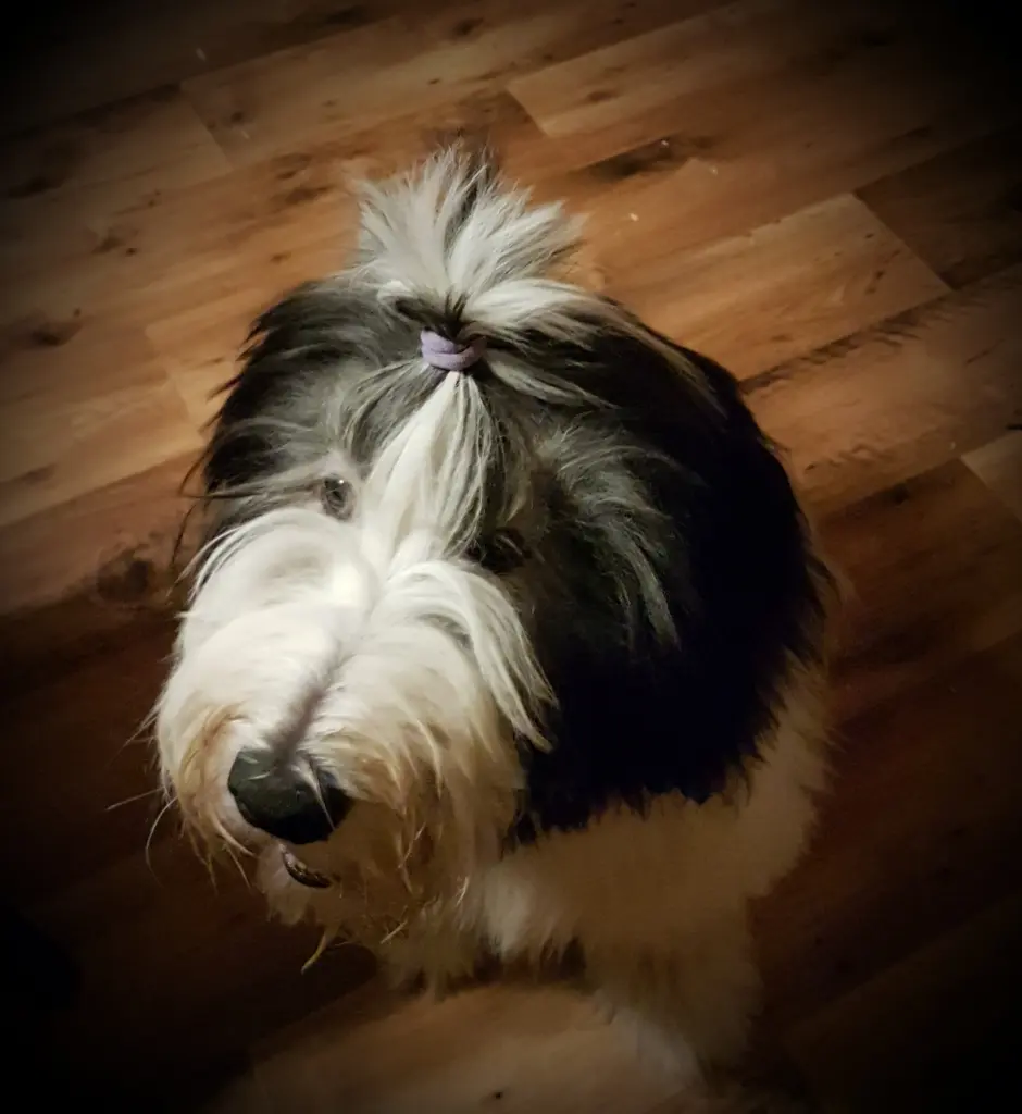 Image from Tilly