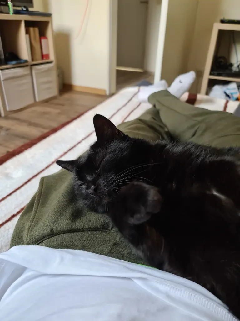 Image from Luna