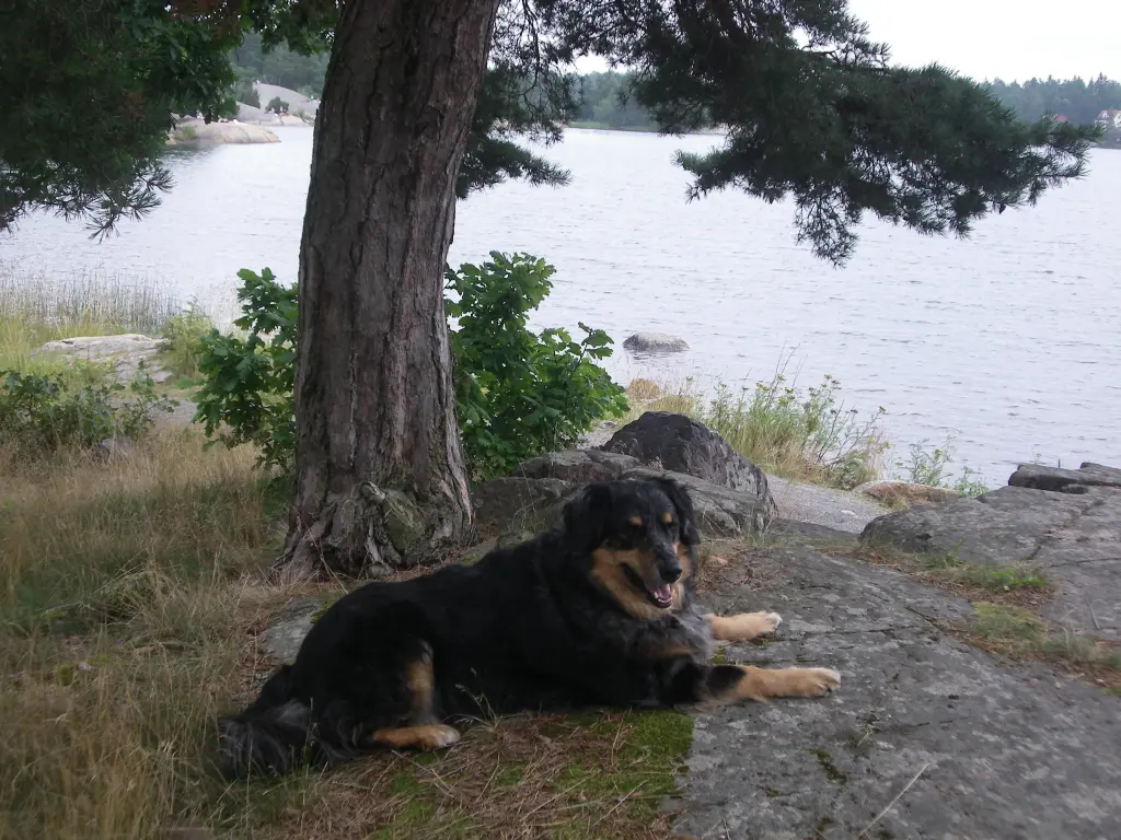 Image from Friedward