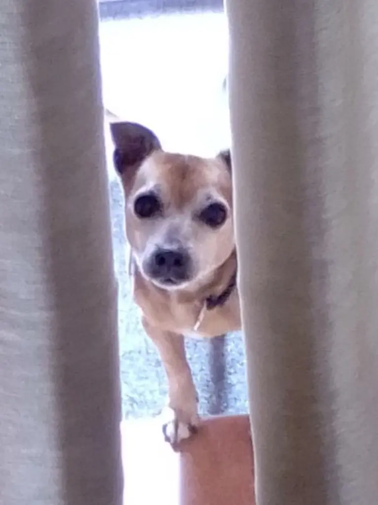 Condolence image of Conny