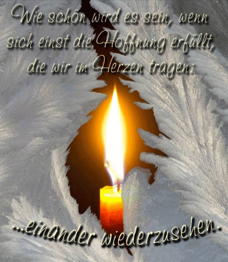 Condolence image of Katrin und Katzi im ❤️
