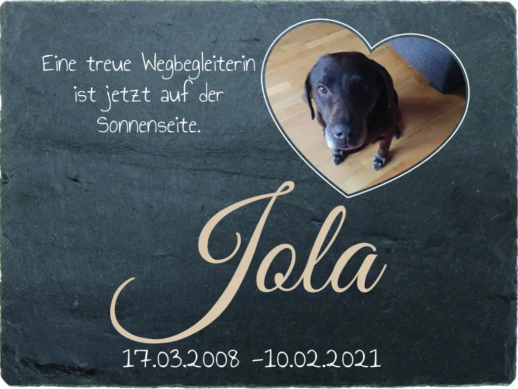 Image from Jola