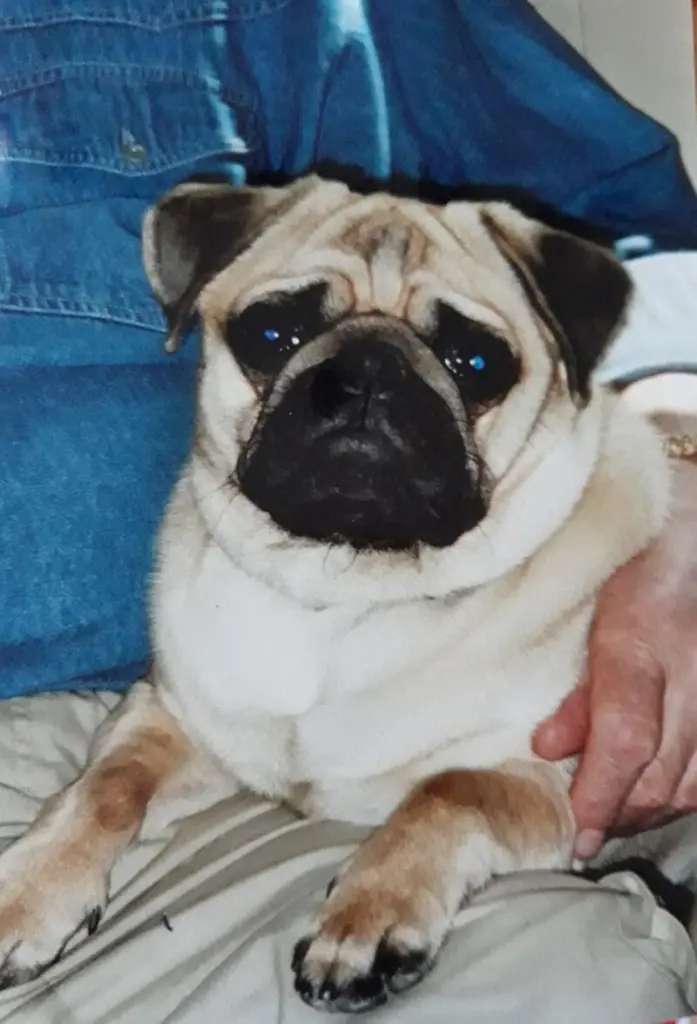 Condolence image of Charly