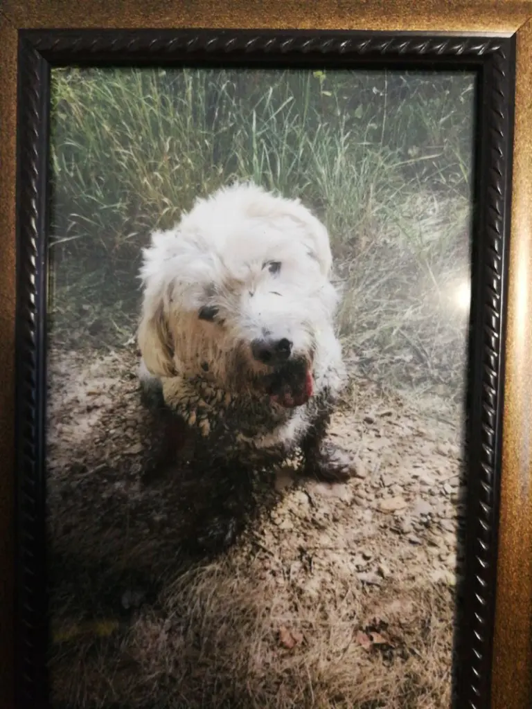 Condolence image of Tanja