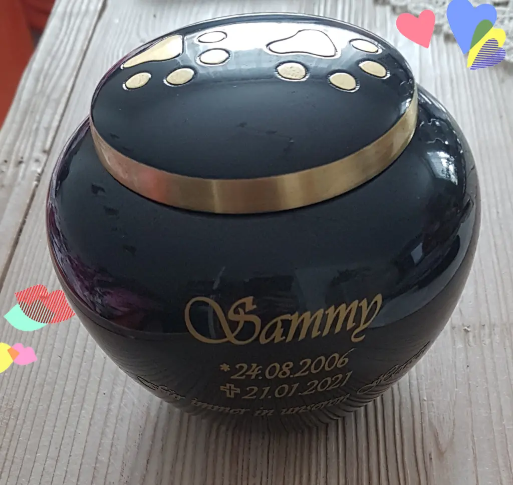 Image from Sammy
