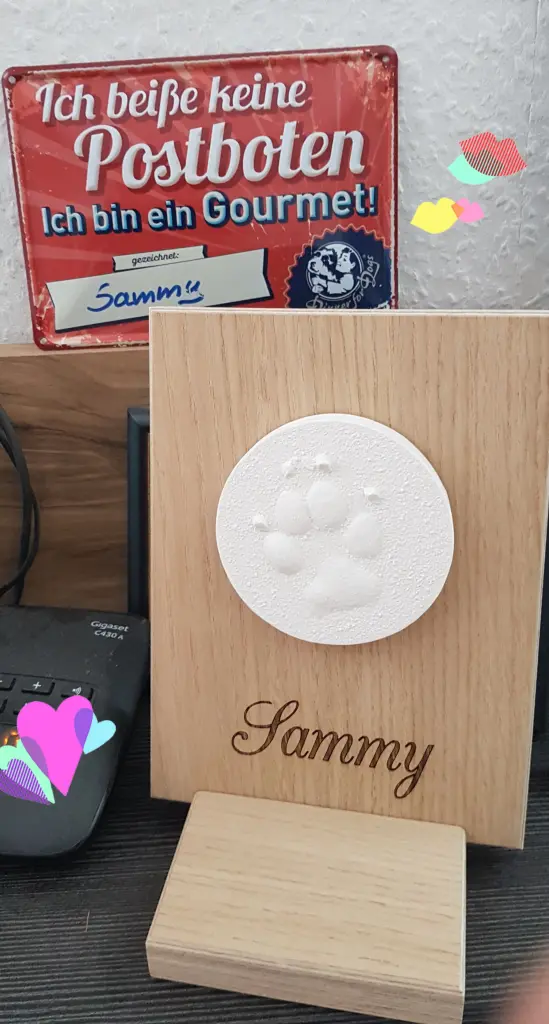 Image from Sammy
