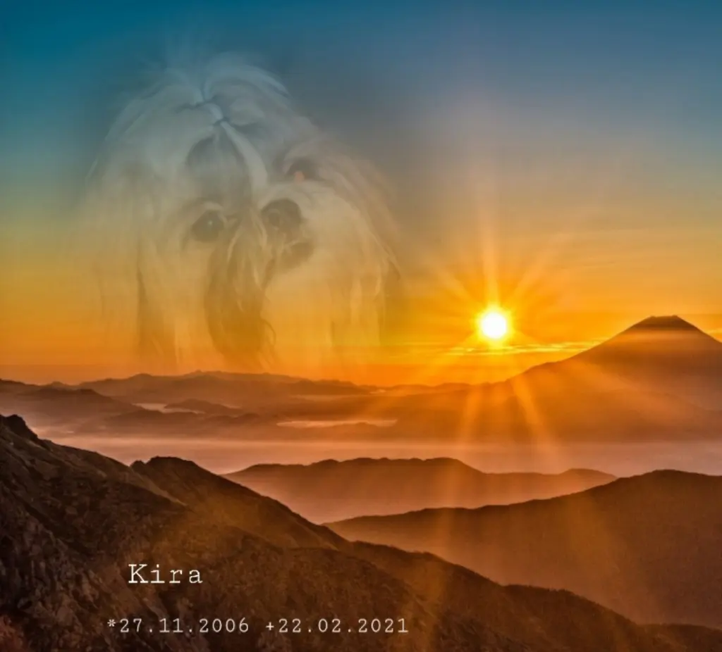 Image from Kira