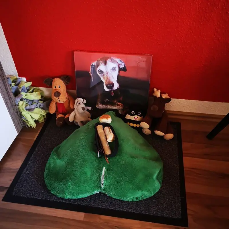 Condolence image of Steffi für Ben