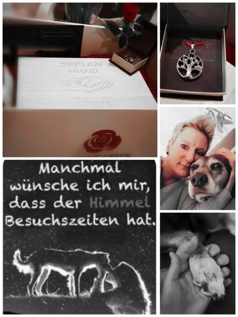 Condolence image of Steffi für Ben tief im ♥