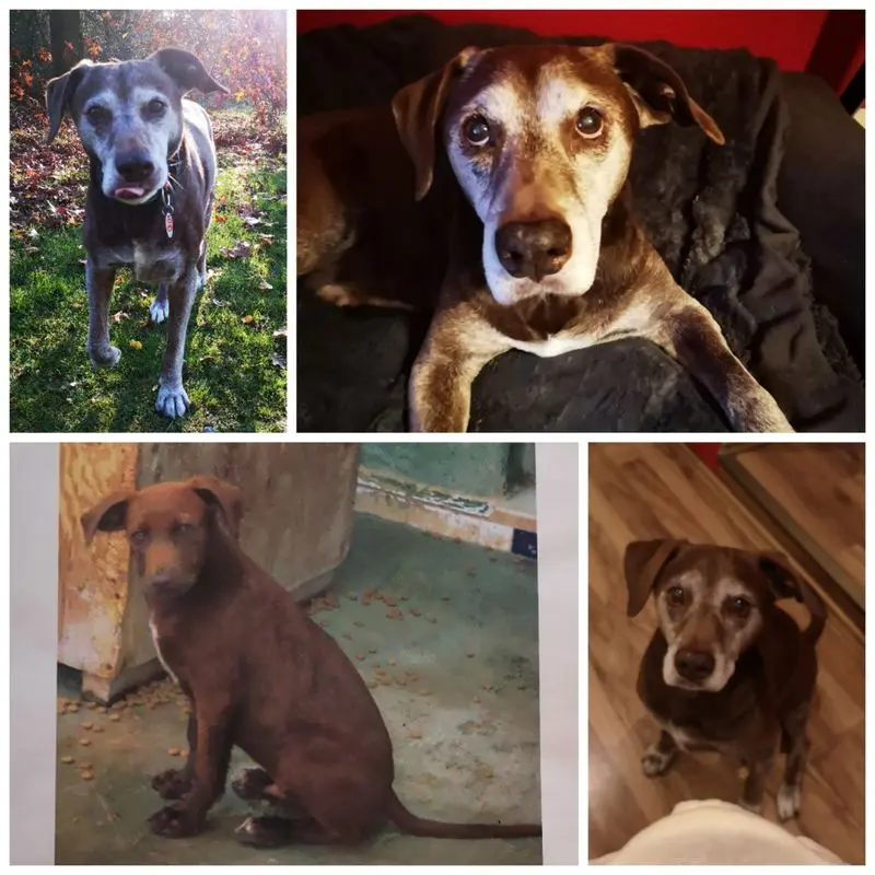 Condolence image of Von Steffi für Ben für immer in meinem ♥ und Lucy an meiner Seite