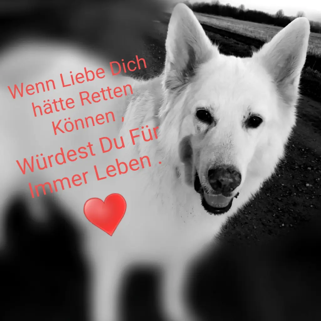Bild von Paul