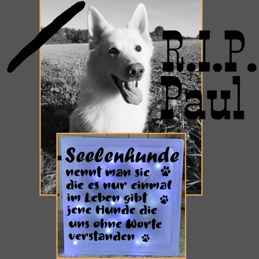 Bild von Paul
