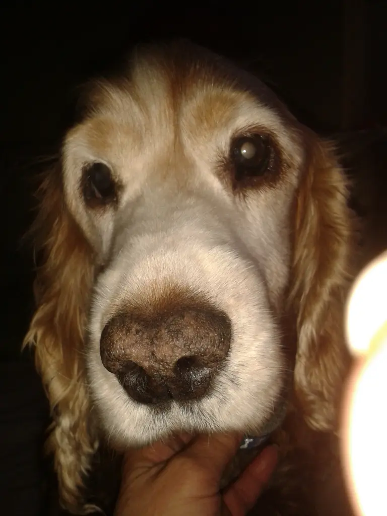 Condolence image of deine Mama...