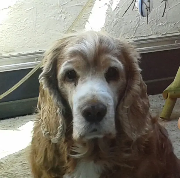 Condolence image of deine Mama