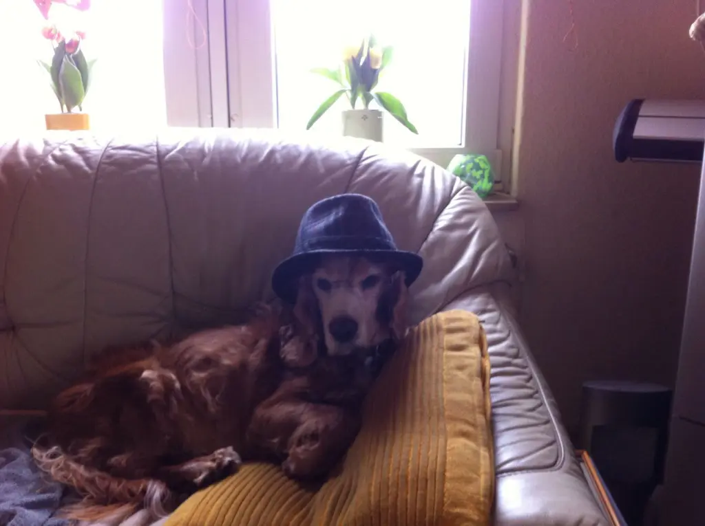 Condolence image of deine Mama