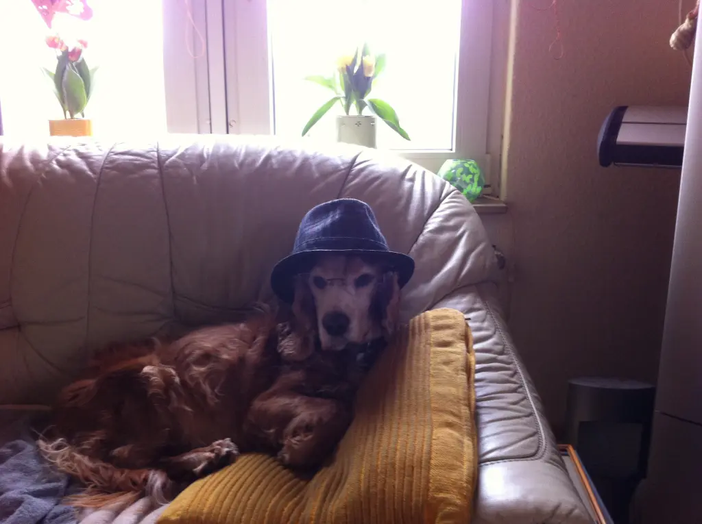 Condolence image of deine Mama