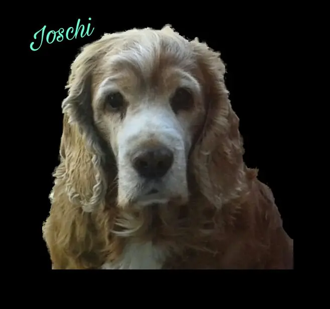 Condolence image of deine Mama