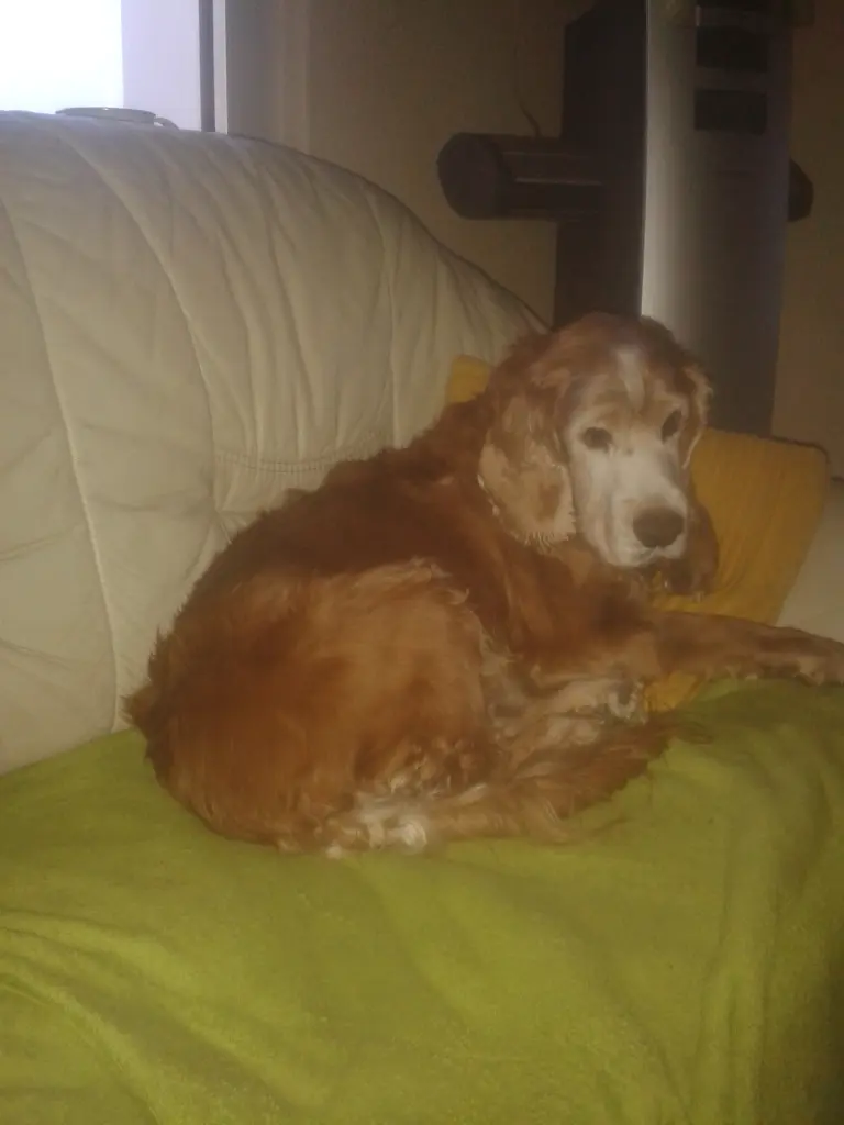 Condolence image of deine Mama